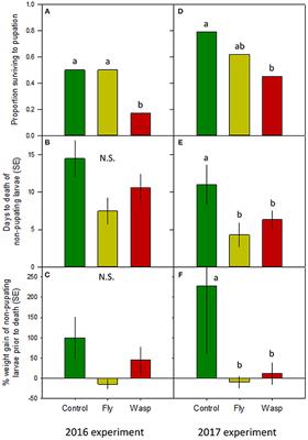 Predator Cues Increase Silkmoth Mortality